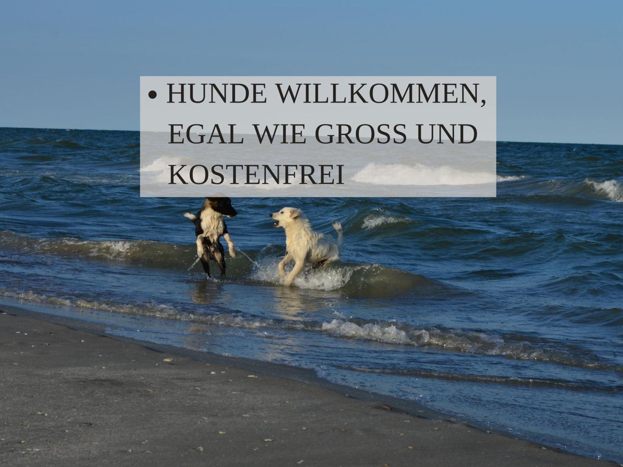 Haus Krabbe Apartments Mit Doppelbetten, Fuer 1-2 Personen, Hunde Kostenfrei Willkommen, Kostenfreier Parkplatz, Zwischen Bremerhaven Und Cuxhaven Gelegen ヴレーメン エクステリア 写真
